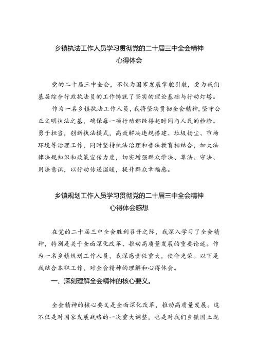 （9篇）乡镇执法工作人员学习贯彻党的二十三中全会精神心得体会范文.docx