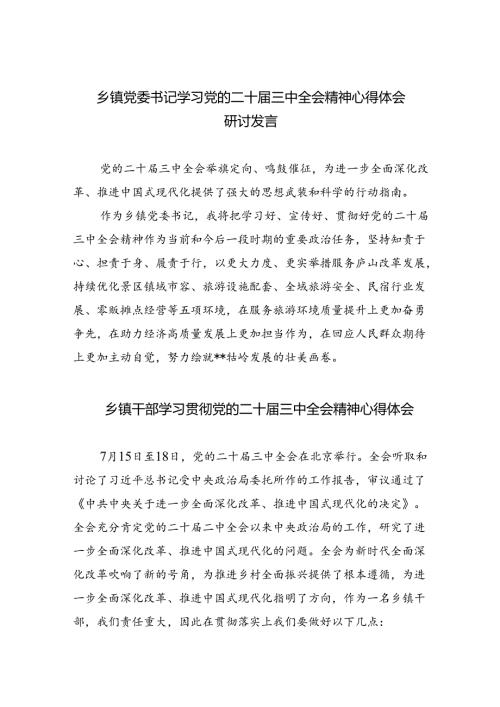 乡镇党委书记学习党的二十三中全会精神心得体会研讨发言8篇（详细版）.docx