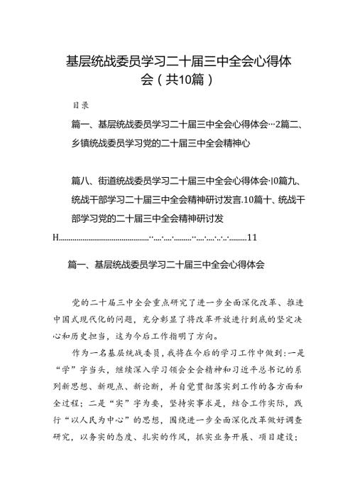 （10篇）基层统战委员学习二十三中全会心得体会（精选）.docx