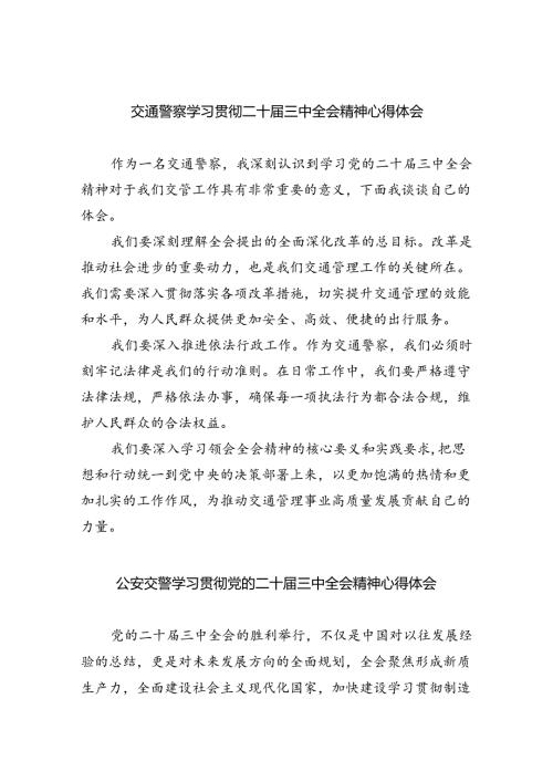 （9篇）交通警察学习贯彻二十三中全会精神心得体会范文.docx