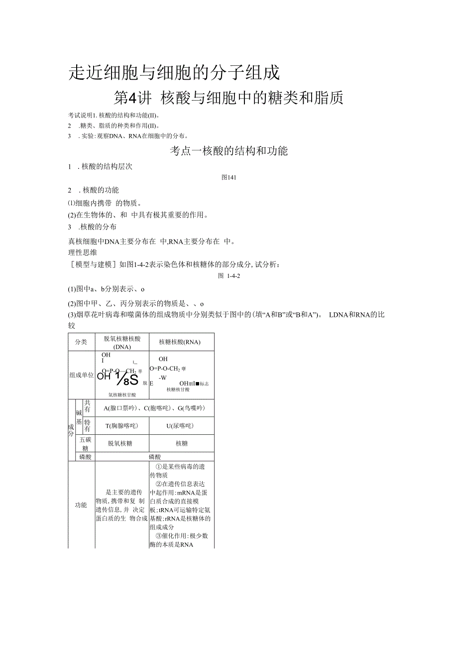 第4讲 核酸与细胞中的糖类和脂质.docx_第1页