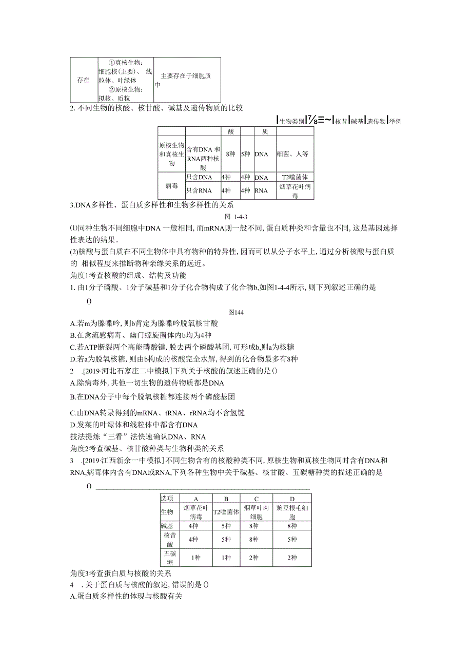 第4讲 核酸与细胞中的糖类和脂质.docx_第2页