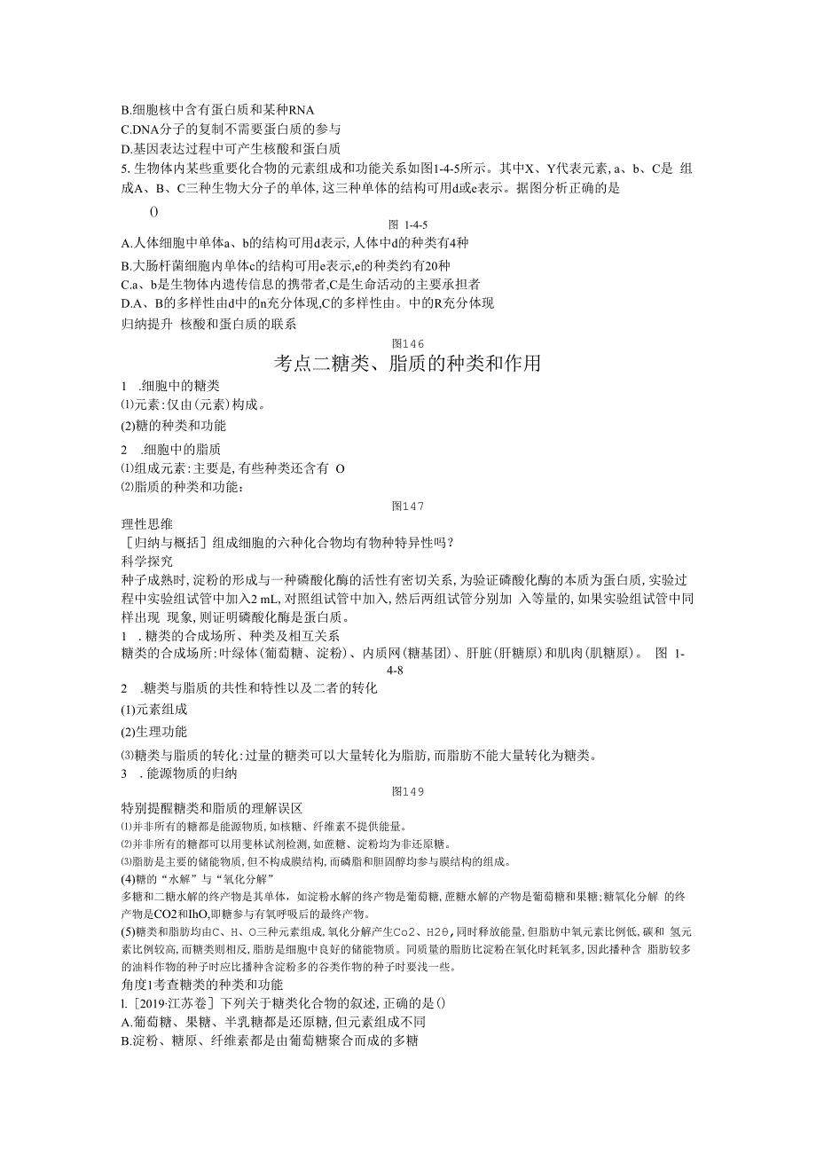 第4讲 核酸与细胞中的糖类和脂质.docx_第3页