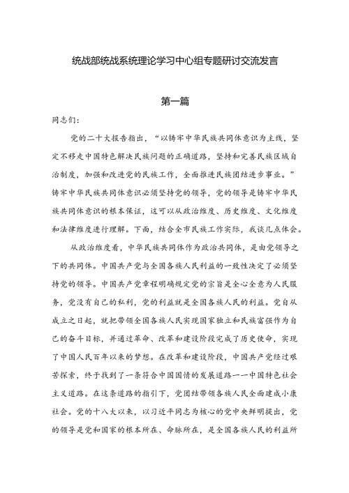 统战部统战系统理论学习中心组专题研讨交流发言6篇.docx