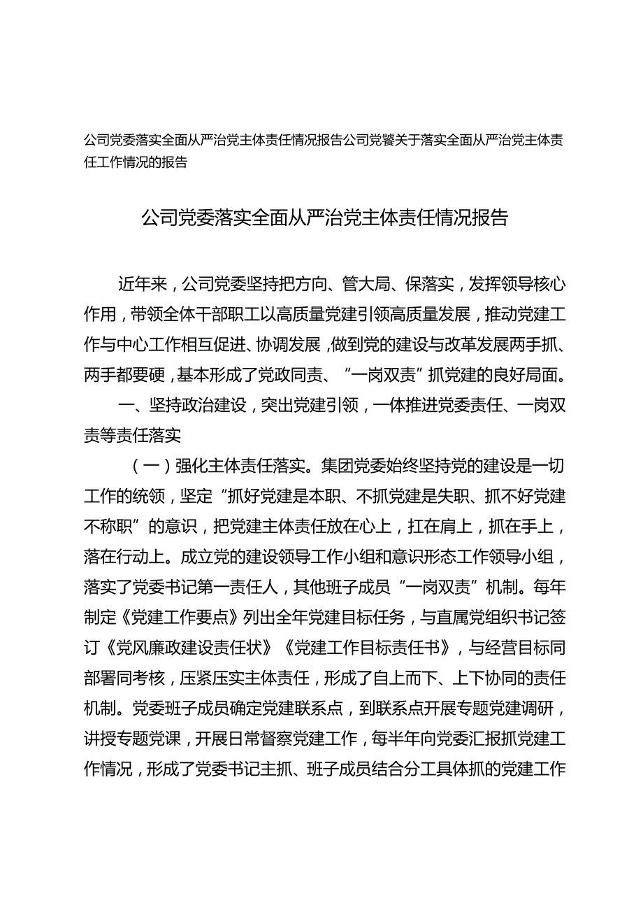 2024年公司党委落实全面从严治党主体责任情况报告.docx_第1页