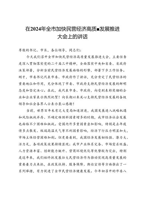 在2024年全市加快民营经济高质量发展推进大会上的讲话.docx