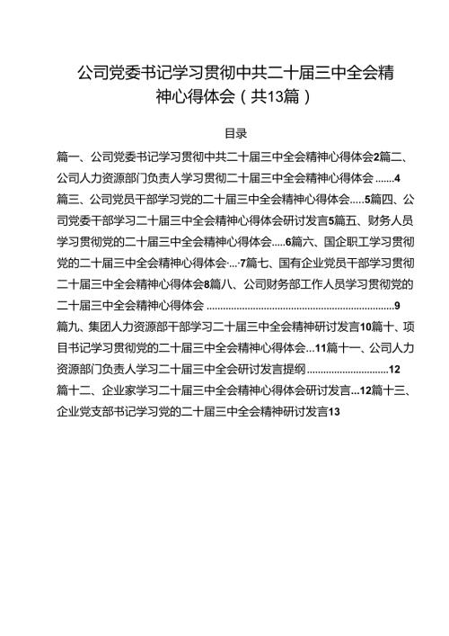 （13篇）公司党委书记学习贯彻中共二十三中全会精神心得体会范文.docx