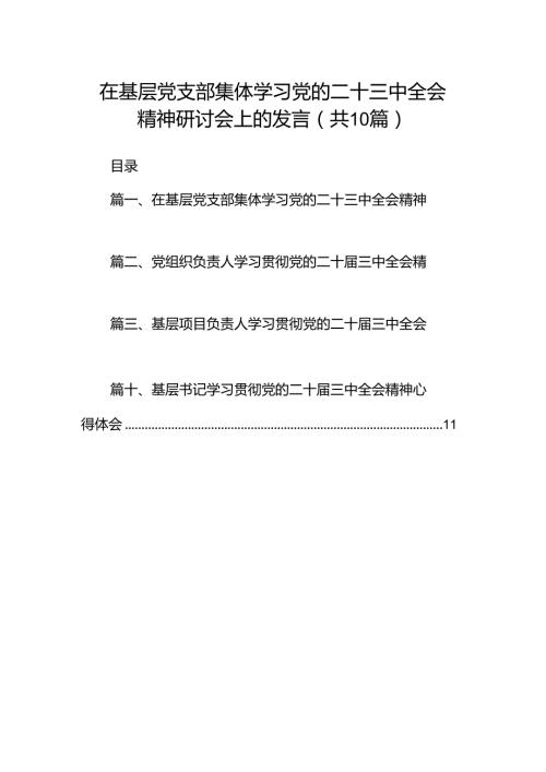 （10篇）在基层党支部集体学习党的二十三中全会精神研讨会上的发言范文.docx