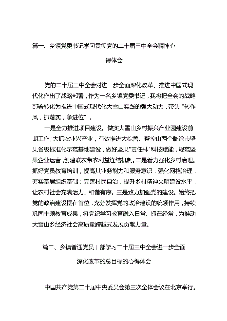 乡镇党委书记学习贯彻党的二十三中全会精神心得体会（共10篇）汇编.docx_第2页