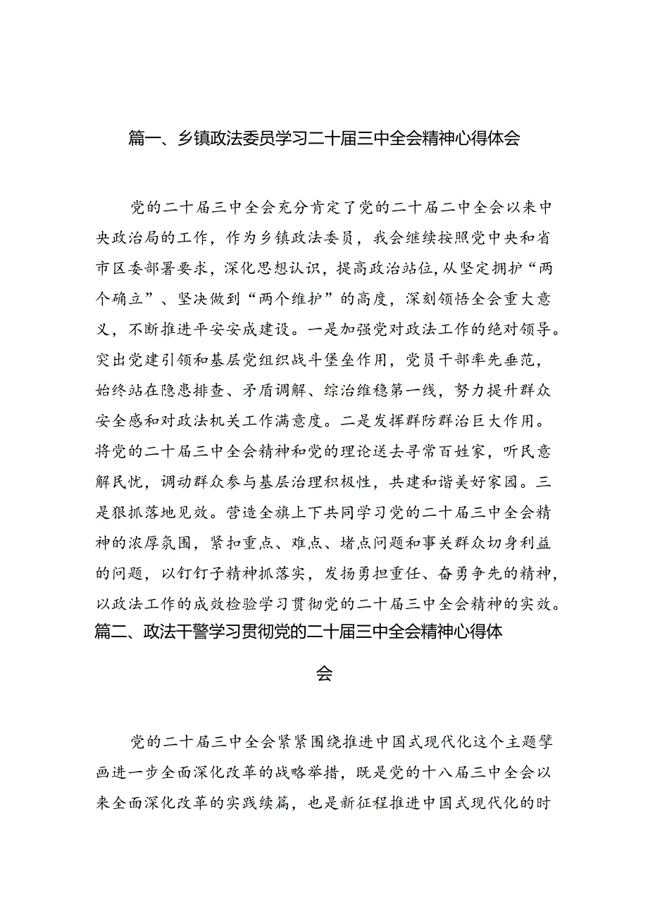 乡镇政法委员学习二十三中全会精神心得体会10篇（精选）.docx_第2页