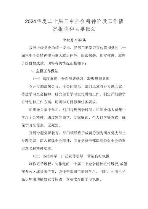 2024二十三中全会精神阶段工作情况报告和主要做法.docx