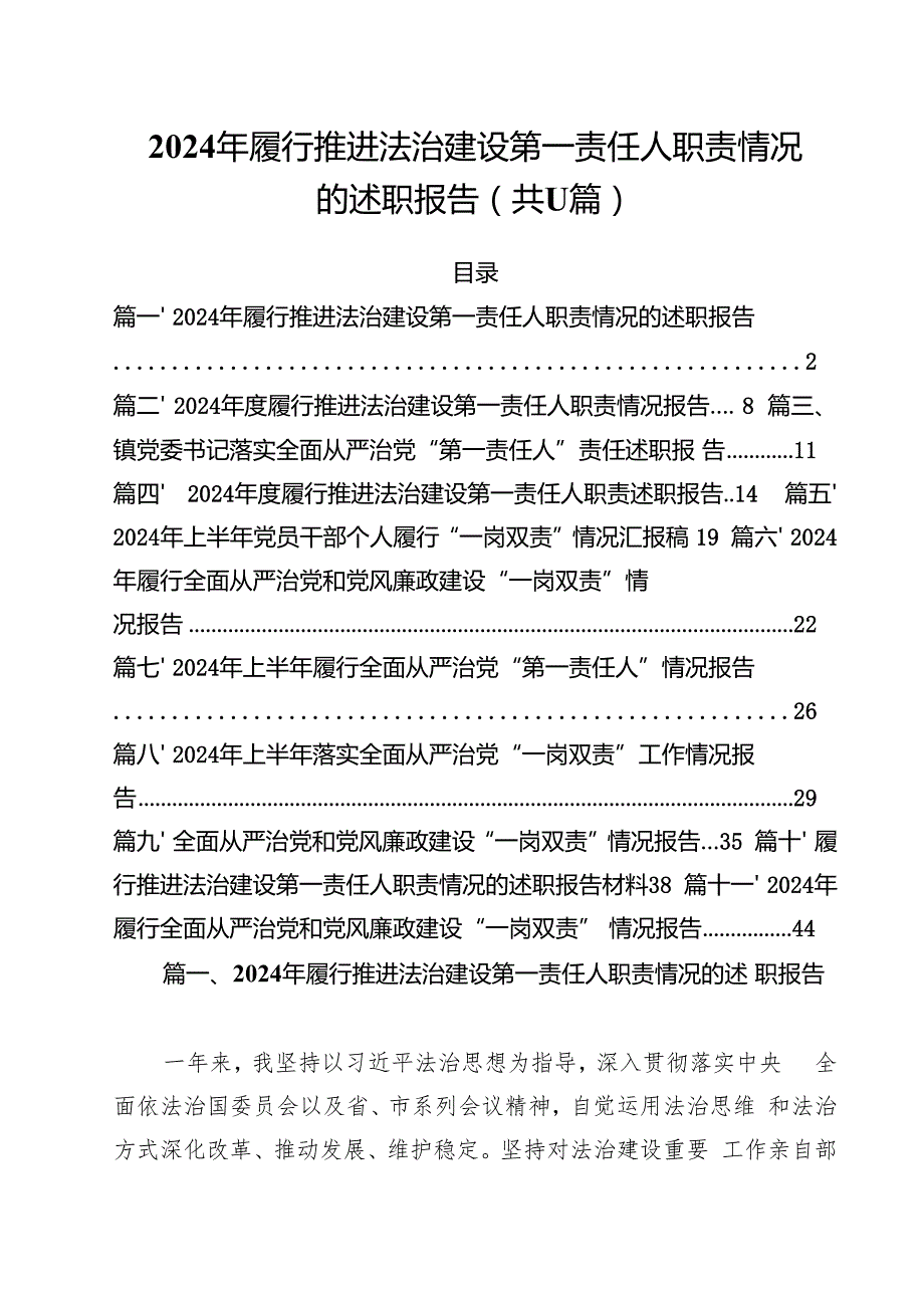 (11篇)2024年履行推进法治建设第一责任人职责情况的述职报告（最新版）.docx_第1页