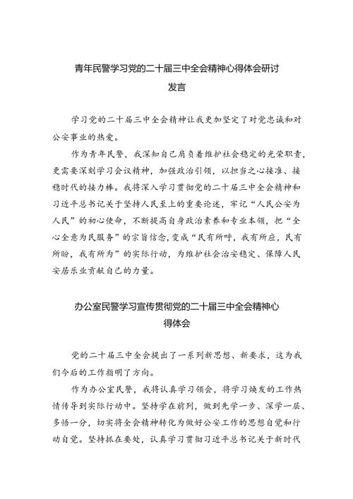 （9篇）青年民警学习党的二十三中全会精神心得体会研讨发言范文.docx