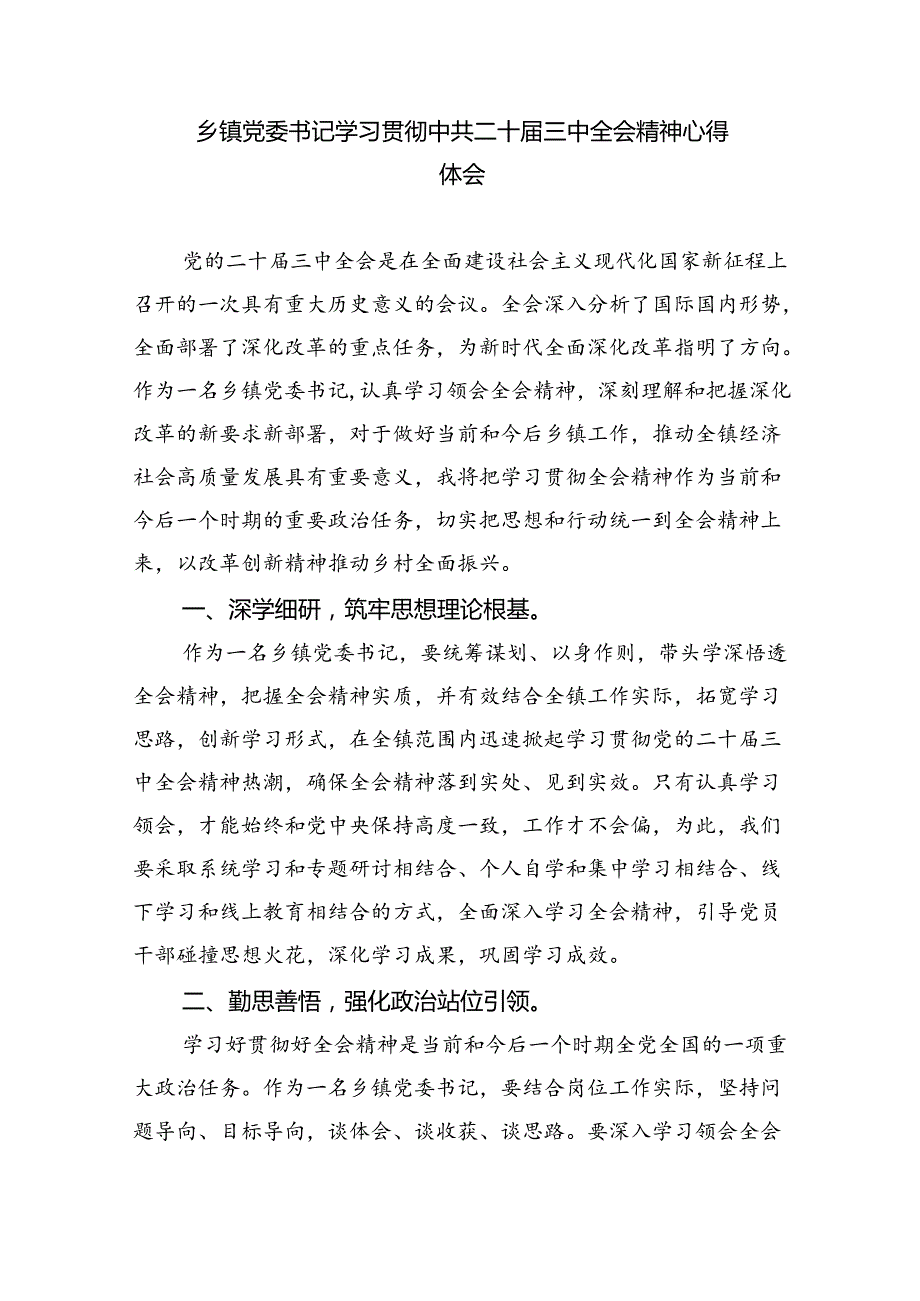 （9篇）镇长学习二十三中全会精神心得体会发言（精选）.docx_第2页