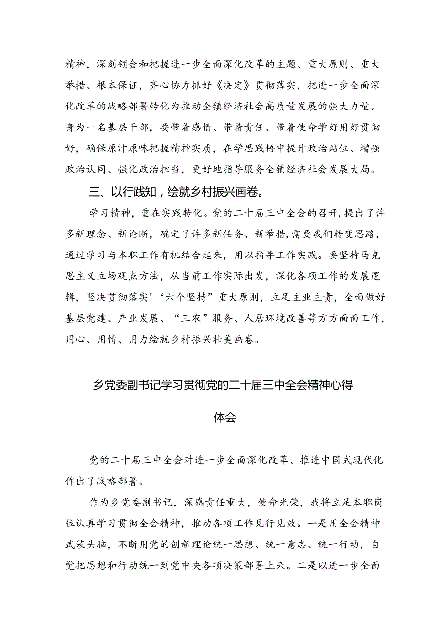 （9篇）镇长学习二十三中全会精神心得体会发言（精选）.docx_第3页