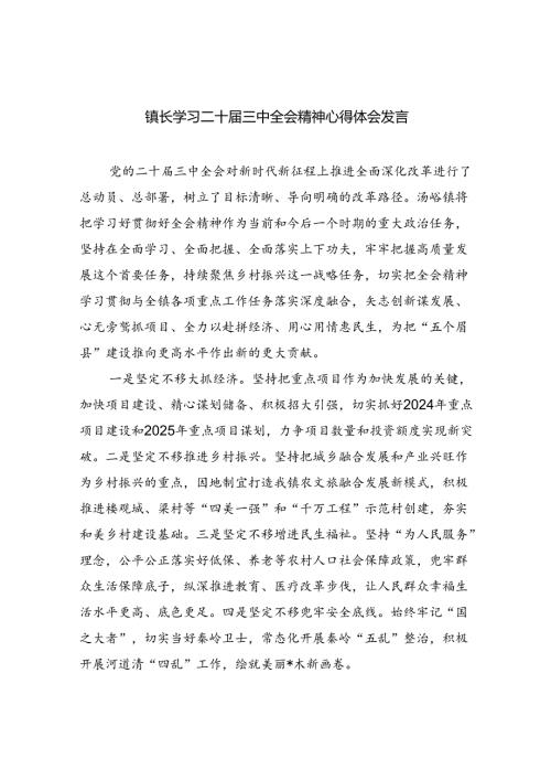 （9篇）镇长学习二十三中全会精神心得体会发言（精选）.docx