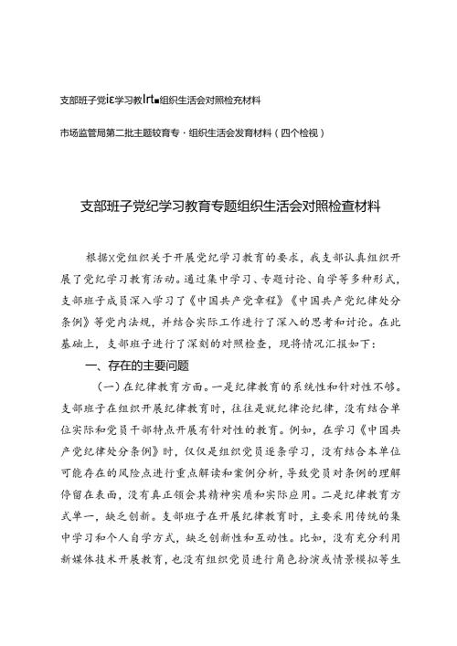 2篇 支部班子党纪学习教育专题组织生活会对照检查材料+第二批主题教育专题组织生活会发言材料（四个检视）.docx