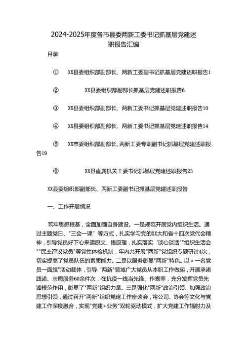 20242025各市县委两新工委书记抓基层党建述职报告汇编.docx