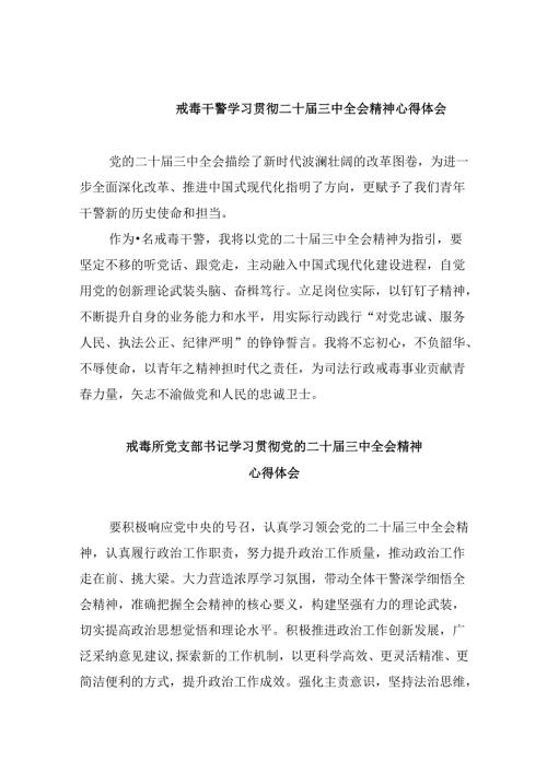 （11篇）戒毒干警学习贯彻二十三中全会精神心得体会集合.docx