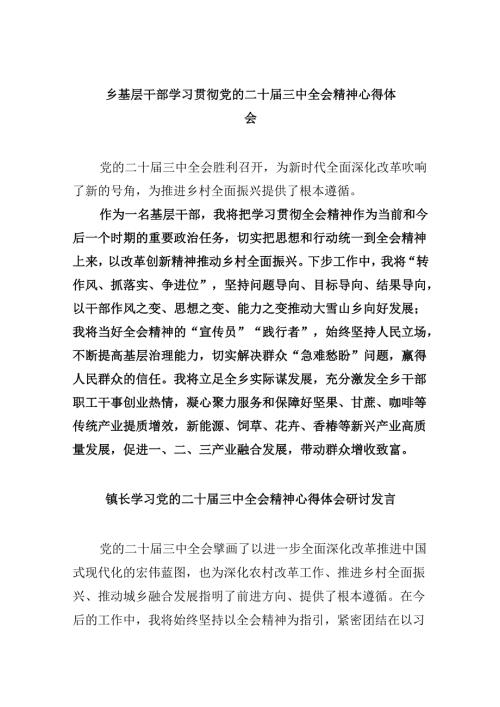 乡基层干部学习贯彻党的二十三中全会精神心得体会5篇（详细版）.docx