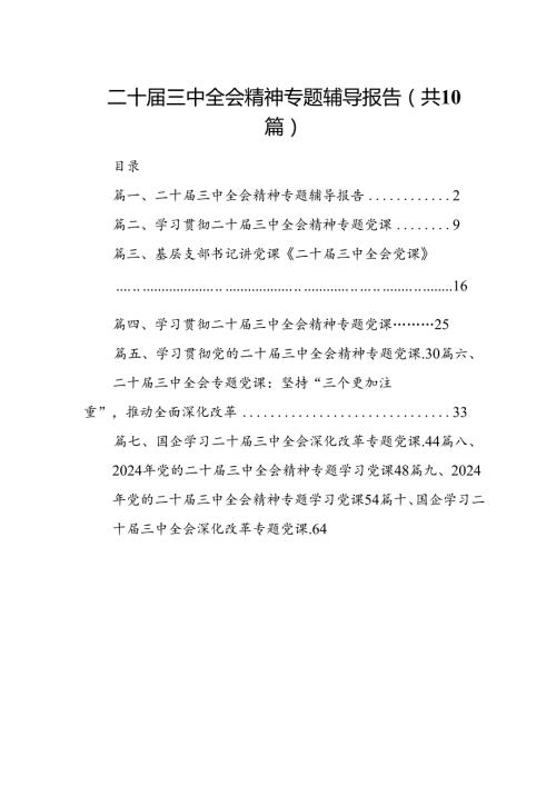（10篇）二十三中全会精神专题辅导报告参考范文.docx