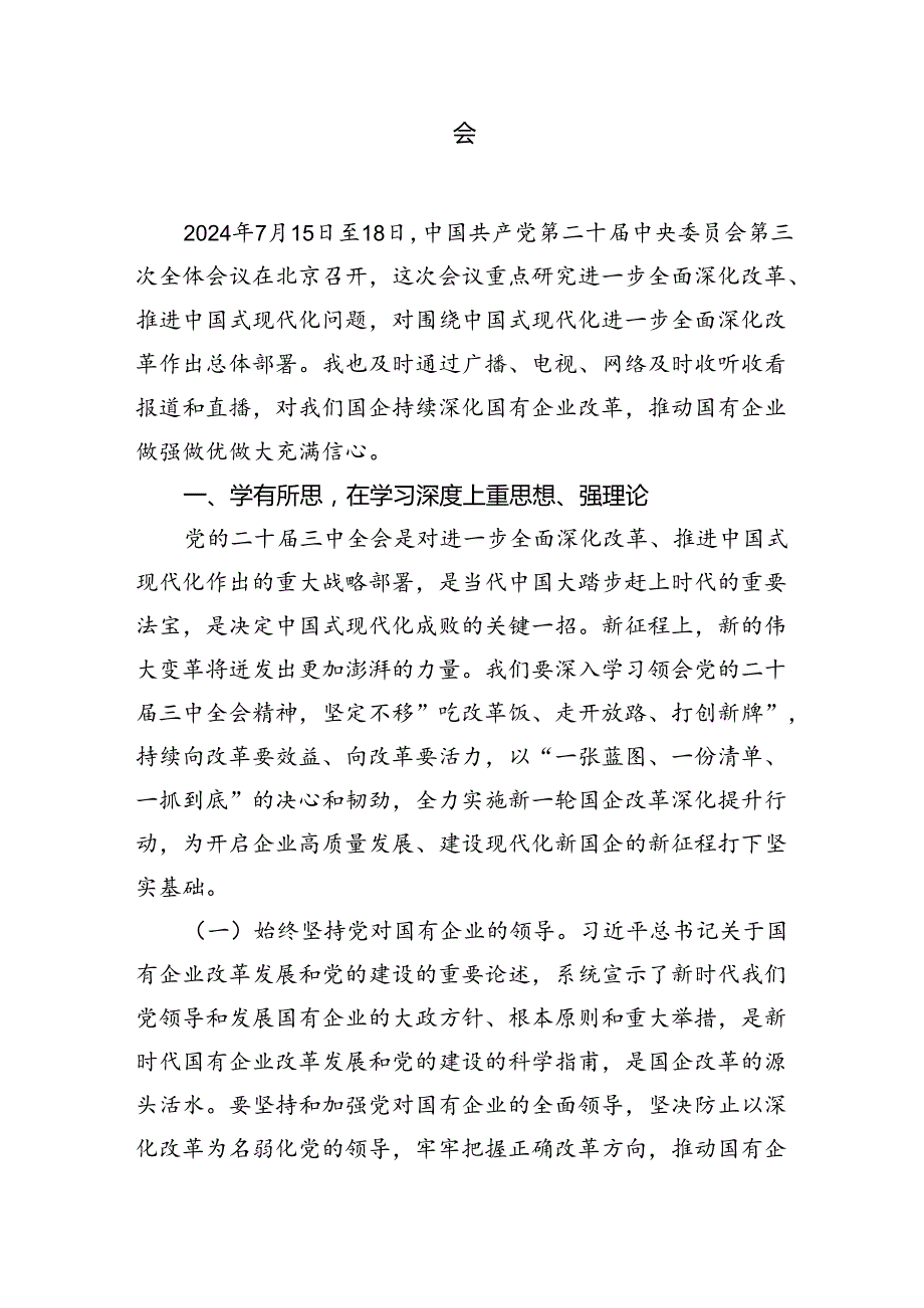（10篇）民营企业负责人学习党的二十三中全会精神研讨发言（精选）.docx_第3页