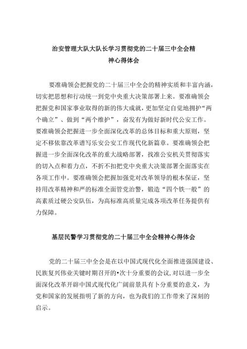 （11篇）治安管理大队大队长学习贯彻党的二十三中全会精神心得体会（精选）.docx