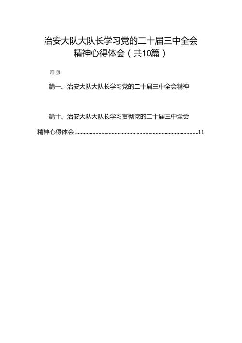 （10篇）治安大队大队长学习党的二十三中全会精神心得体会范文.docx