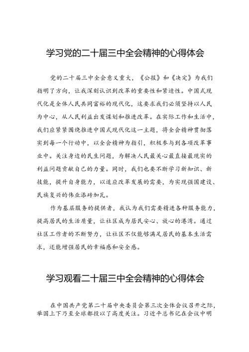 二十三中全会公报学习体会三十五篇.docx