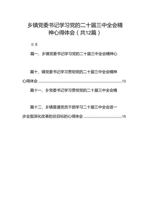 乡镇党委书记学习党的二十三中全会精神心得体会12篇（精选）.docx