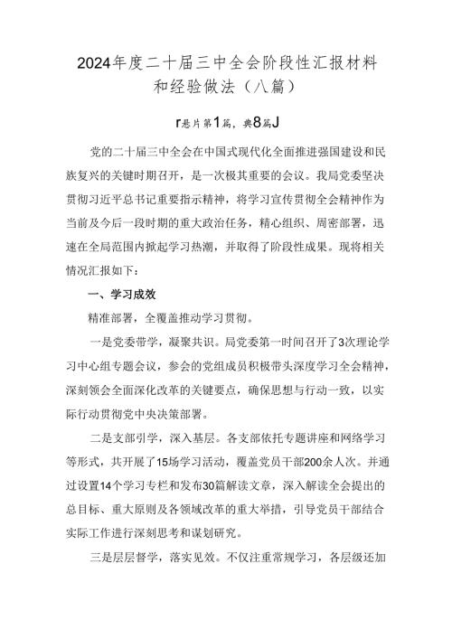 2024二十三中全会阶段性汇报材料和经验做法（八篇）.docx