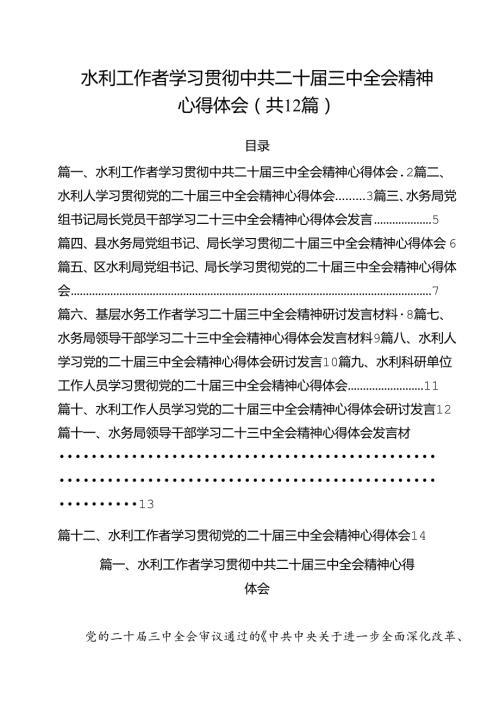 水利工作者学习贯彻中共二十三中全会精神心得体会（共12篇）.docx