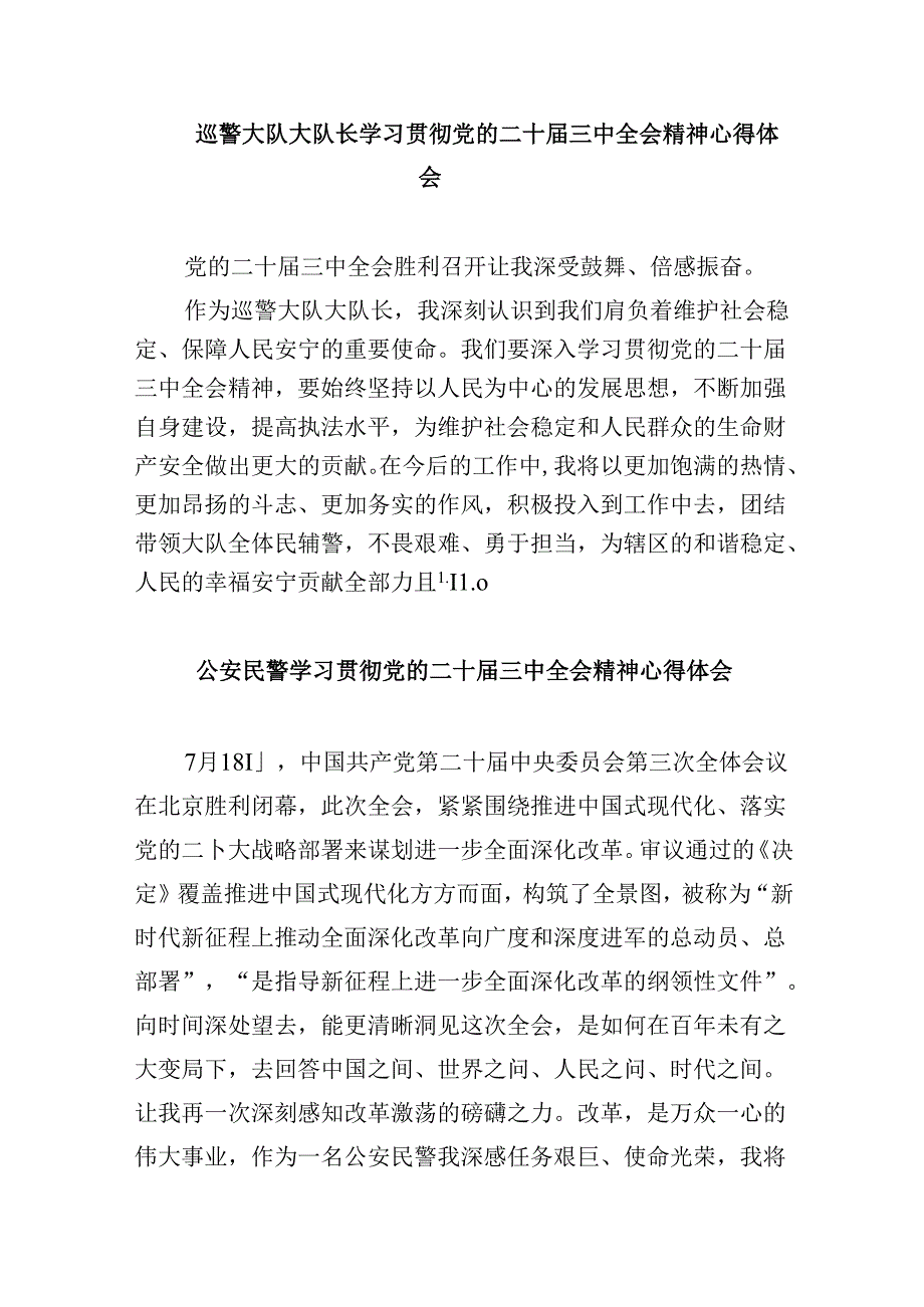 （11篇）公安局局长学习贯彻党的二十三中全会精神心得体会集合.docx_第2页