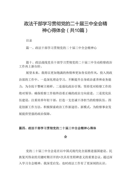 （10篇）政法干部学习贯彻党的二十三中全会精神心得体会汇编范文.docx