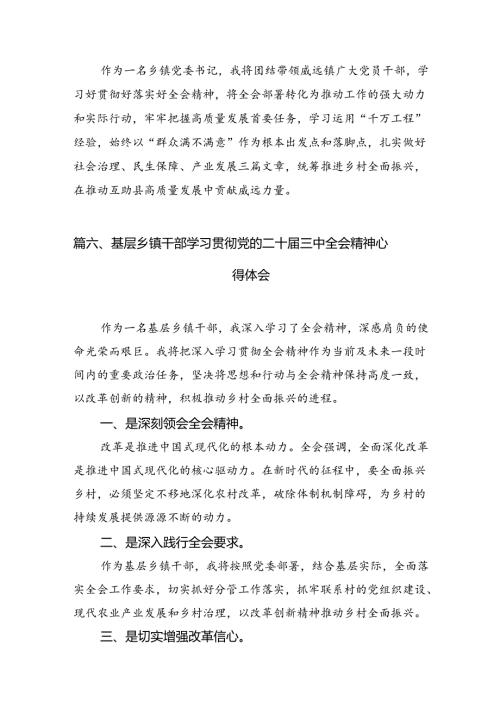 （10篇）副镇长学习贯彻党的二十三中全会精神心得体会范文.docx