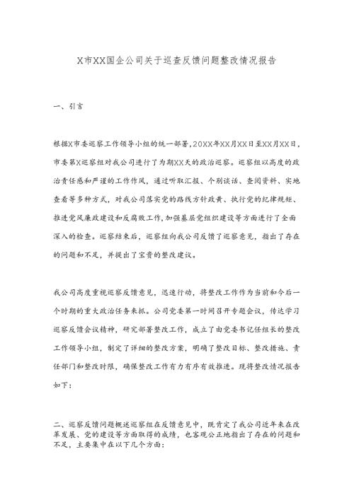 X市XX国企公司关于巡查反馈问题整改情况报告.docx