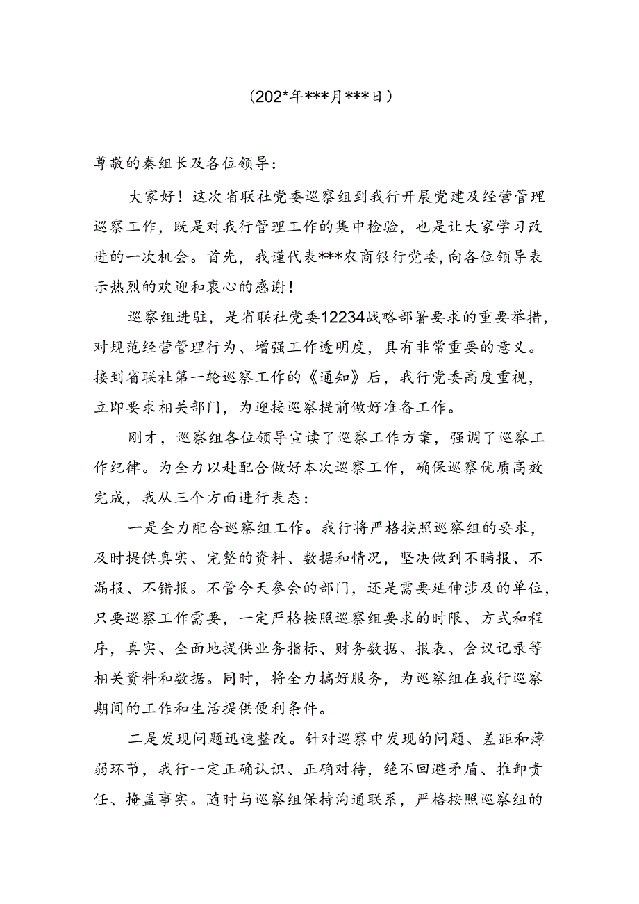 银行巡察材料汇编（工作动员会讲话巡察后整改方案巡察整改巡查督导工作汇报总结）.docx_第3页