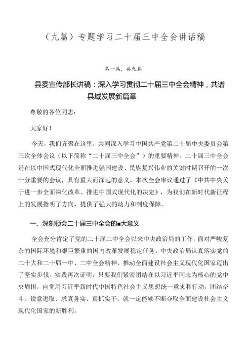 （九篇）专题学习二十三中全会讲话稿.docx