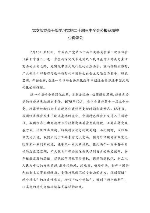 （9篇）党支部党员干部学习党的二十三中全会公报及精神心得体会优选.docx