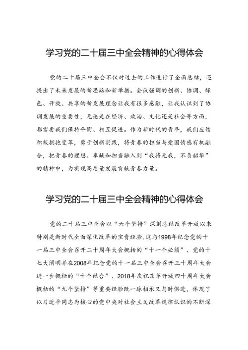 二十三中全会精神心得体会优秀模板25篇.docx