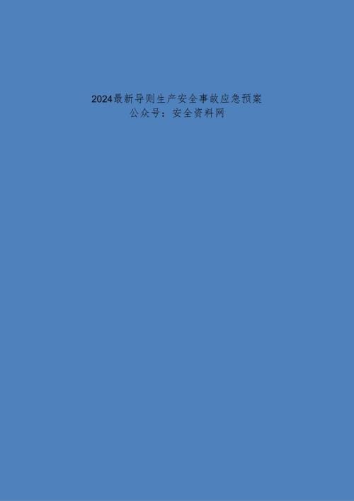 2024导则生产安全事故应急预案.docx