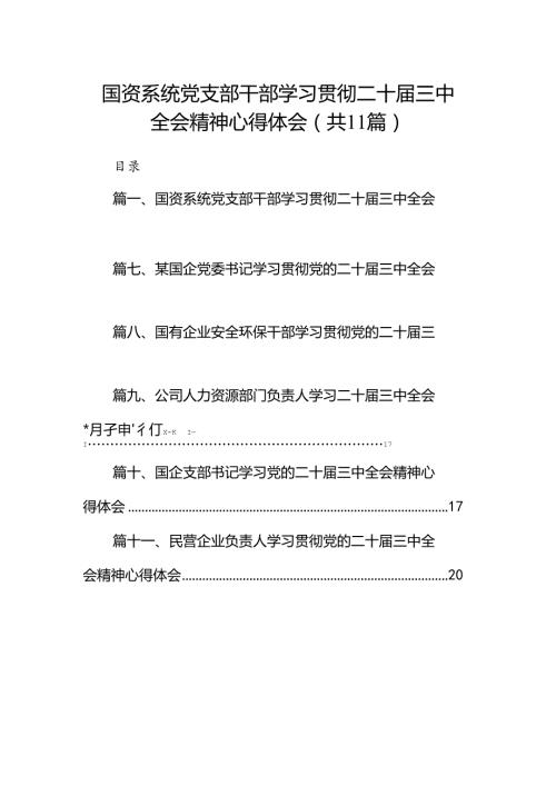 （11篇）国资系统党支部干部学习贯彻二十三中全会精神心得体会范文.docx