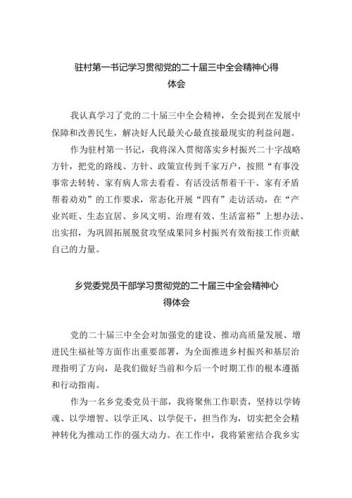 （9篇）驻村第一书记学习贯彻党的二十三中全会精神心得体会（精选）.docx