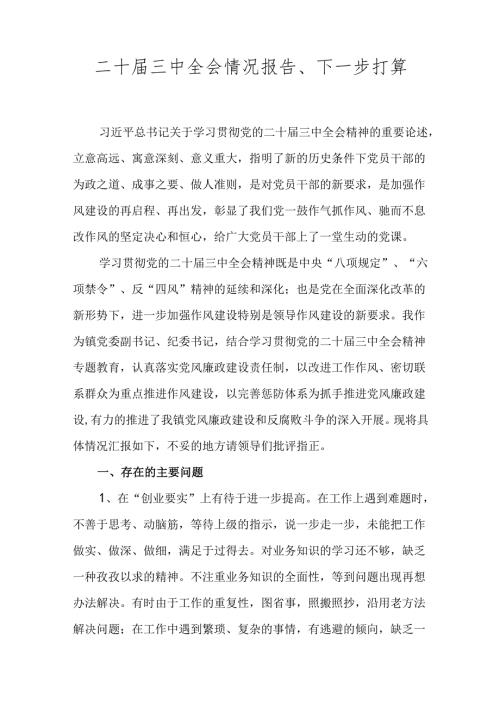 二十三中全会情况报告、下一步打算.docx