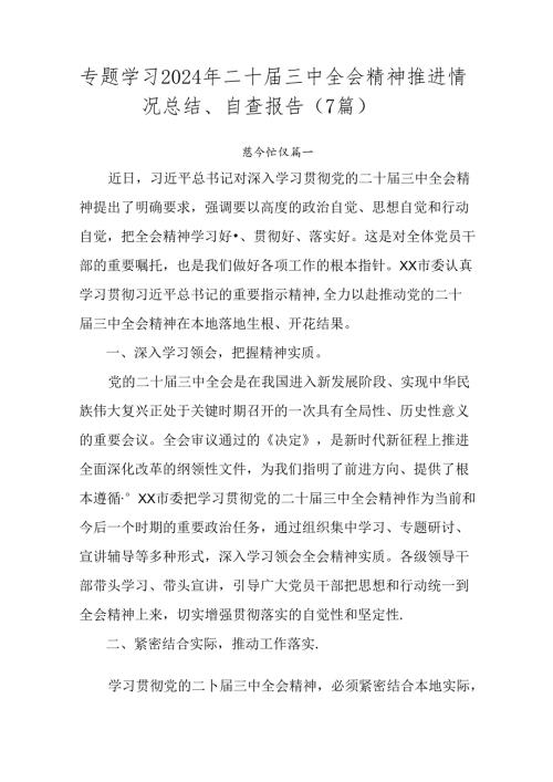 专题学习2024年二十三中全会精神推进情况总结、自查报告（7篇）.docx