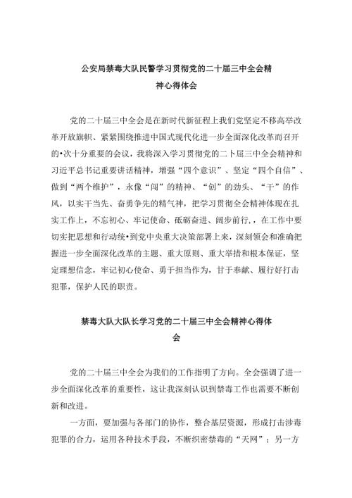 （11篇）公安局禁毒大队民警学习贯彻党的二十三中全会精神心得体会范文.docx