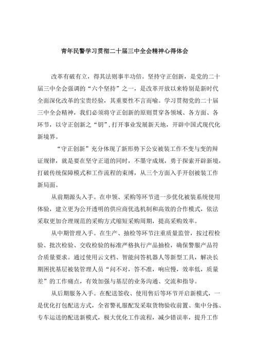 （11篇）青年民警学习贯彻二十三中全会精神心得体会集合.docx