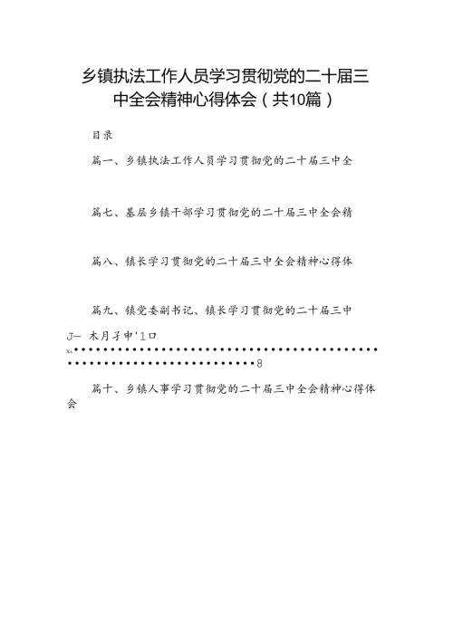 （10篇）乡镇执法工作人员学习贯彻党的二十三中全会精神心得体会（详细版）.docx