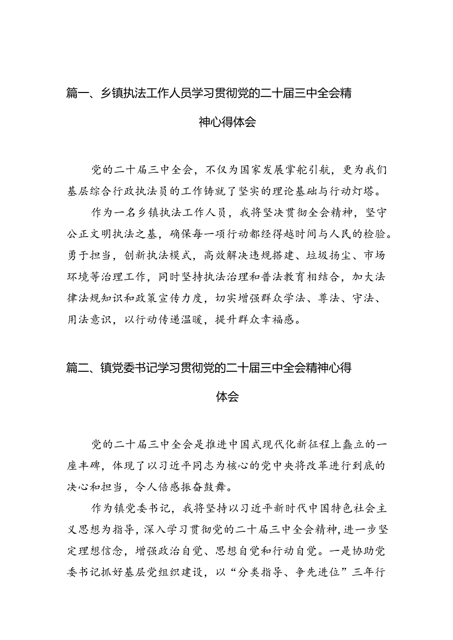 （10篇）乡镇执法工作人员学习贯彻党的二十三中全会精神心得体会（详细版）.docx_第2页