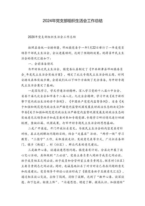 2024年党支部组织生活会工作总结1.docx